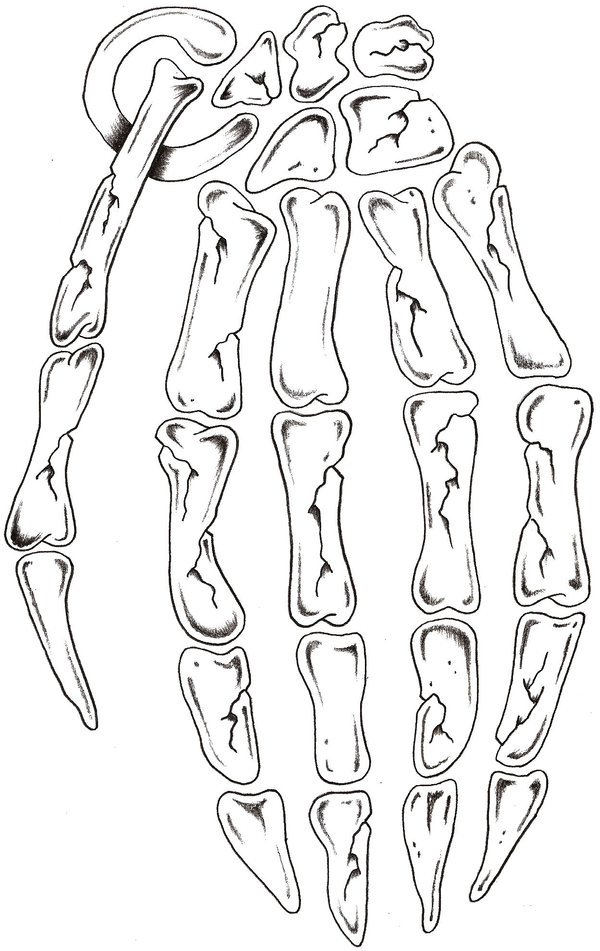 600x951 Hand Grenade By Thelob