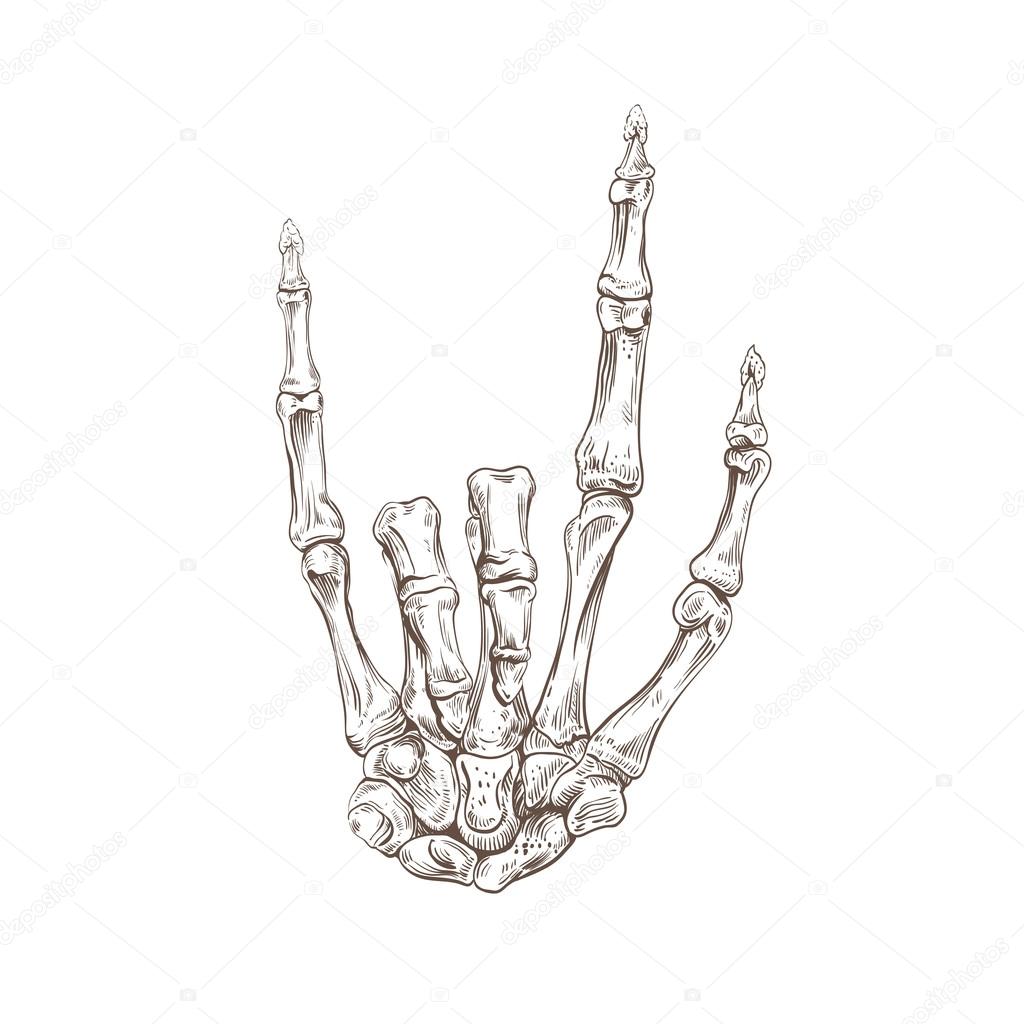 1024x1024 Skeleton Hand Heavy Metal Stock Vector Roman84