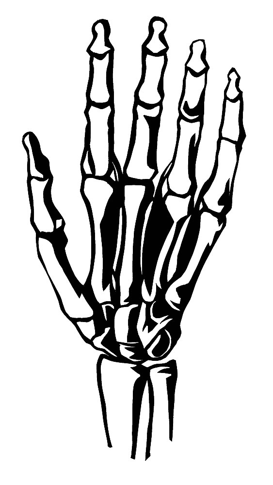 563x1000 Skeleton Hands Clipart