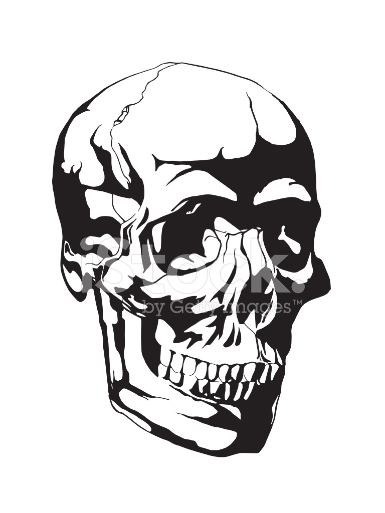 768x1024 Human Skull Anatomy Sketch Stock Vector