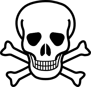 300x289 Skull And Crossbones Clip Art