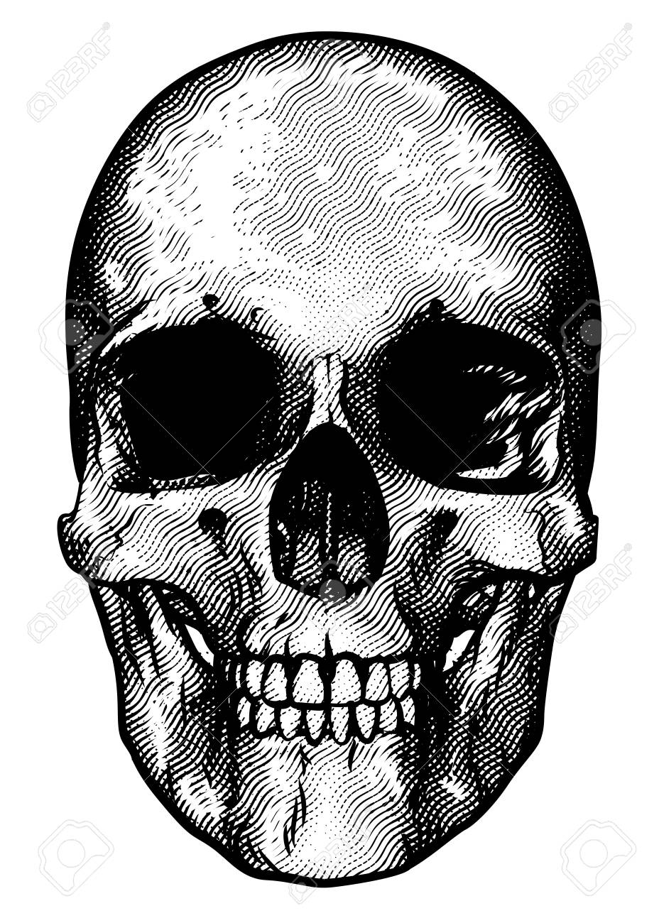 928x1300 Skull Drawing In A Vintage Retro Woodcut Etched Or Engraved Style