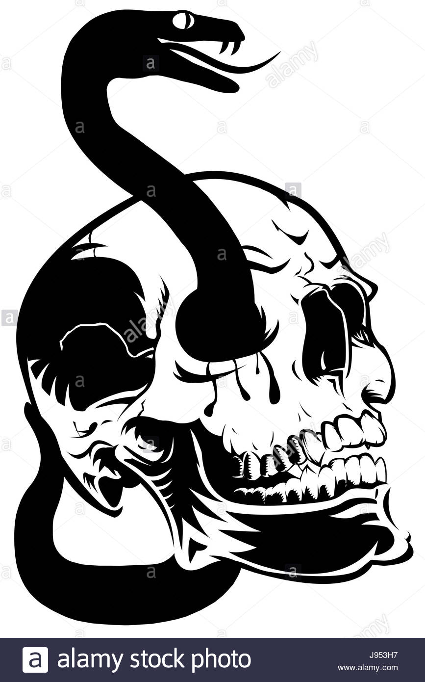 867x1390 Eyes, Skull, Halloween, Blood, Snake, Poison, Skeleton, Head, Art