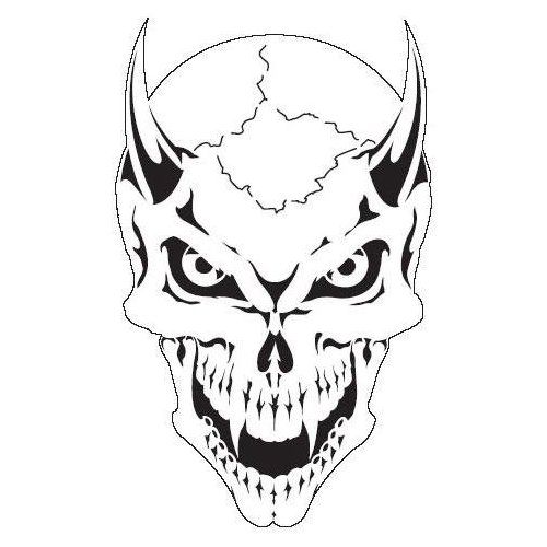 500x500 Drawn Skeleton Skull