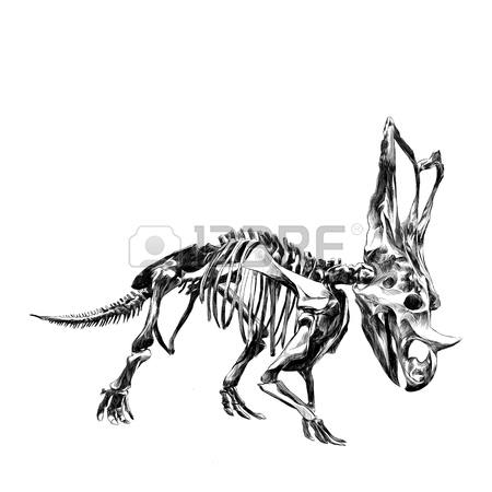 450x450 The Skeleton Of The Dinosaur Triceratops, Colour The Picture