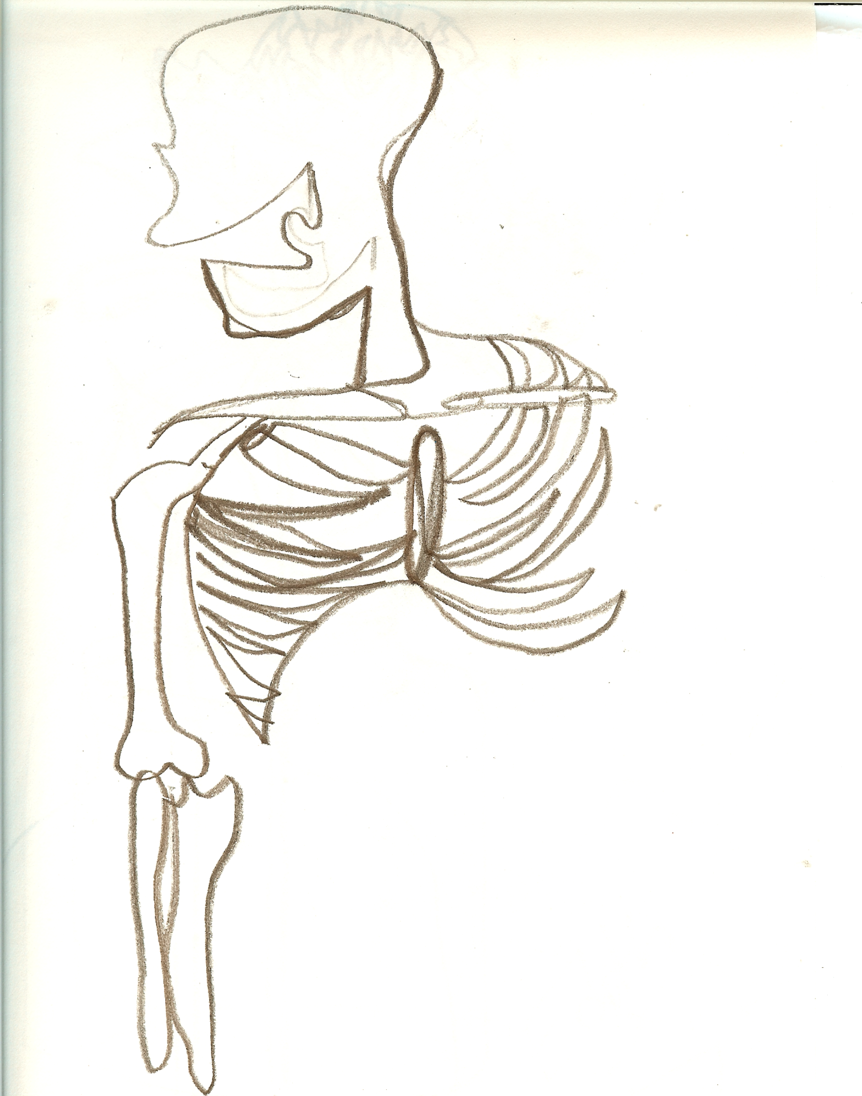 2826x3592 Contour Line Drawings Upwardboundartists