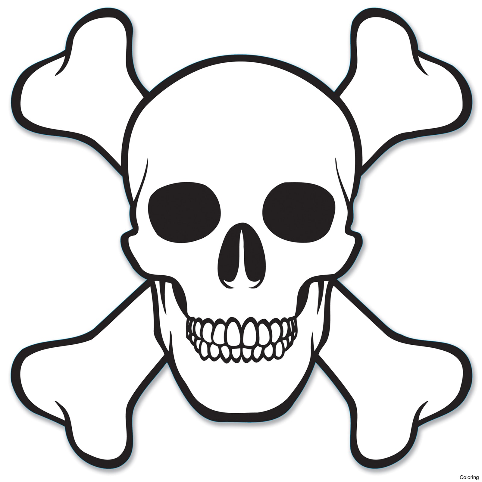 1600x1600 Pirate Skull And Crossed Bones Vector Id540528746 Pictures