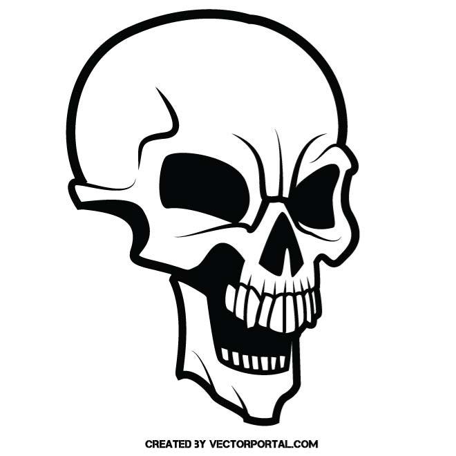 660x660 Skull Skeleton