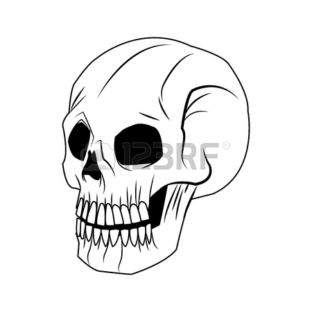 450x450 Skeleton Of The Human Head, Vintage Bone Vector Illustration