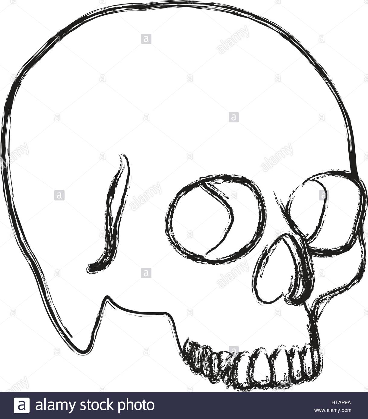 1220x1390 Contour Skeleton Of The Human Skull Icon, Vector Ilustraction