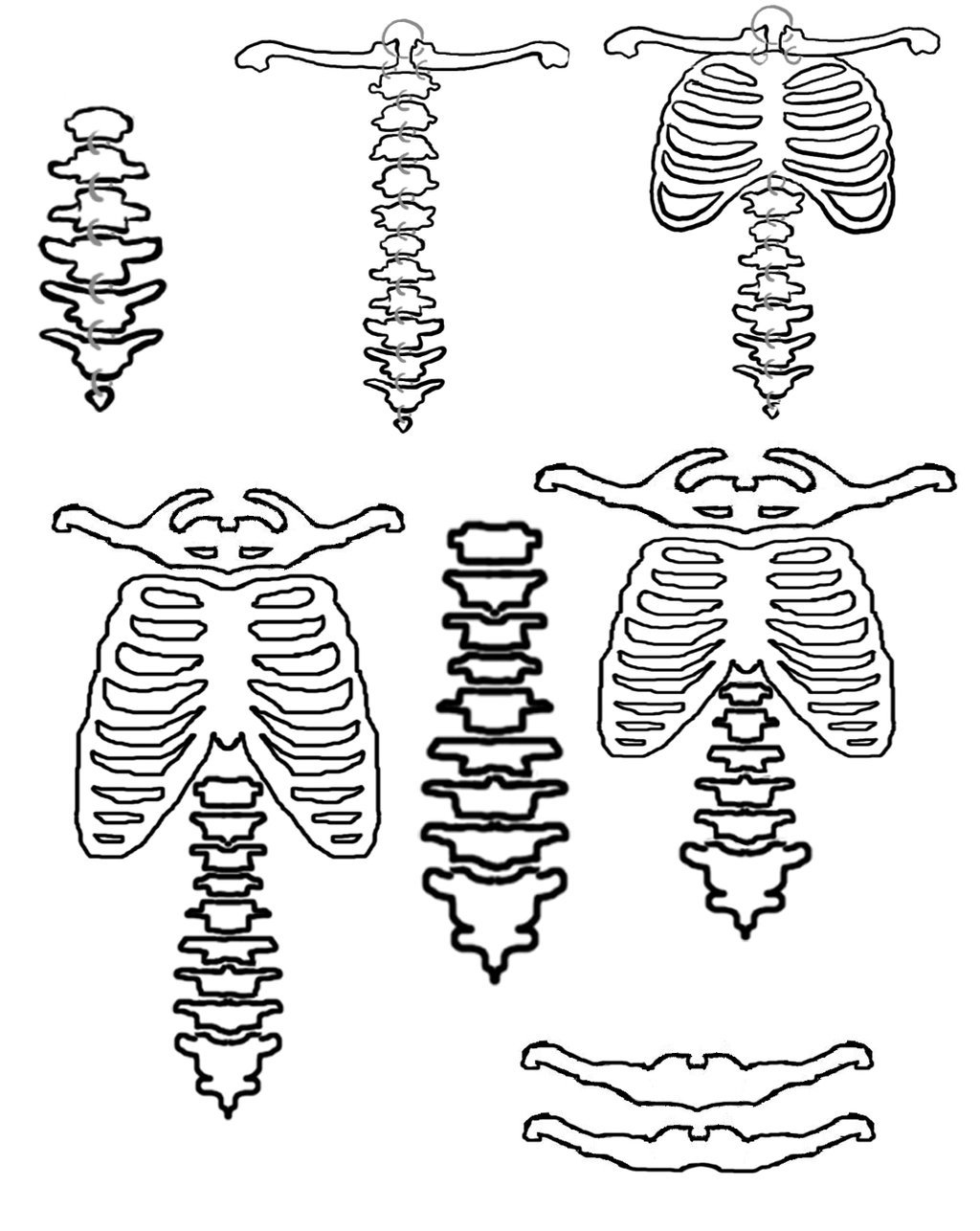 Skeleton Spine Drawing at GetDrawings | Free download