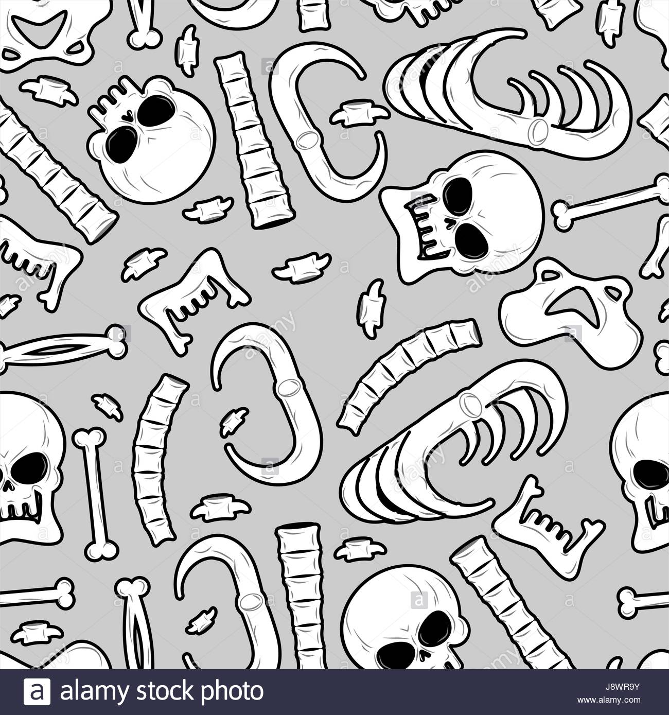 Skeleton Spine Drawing at GetDrawings | Free download