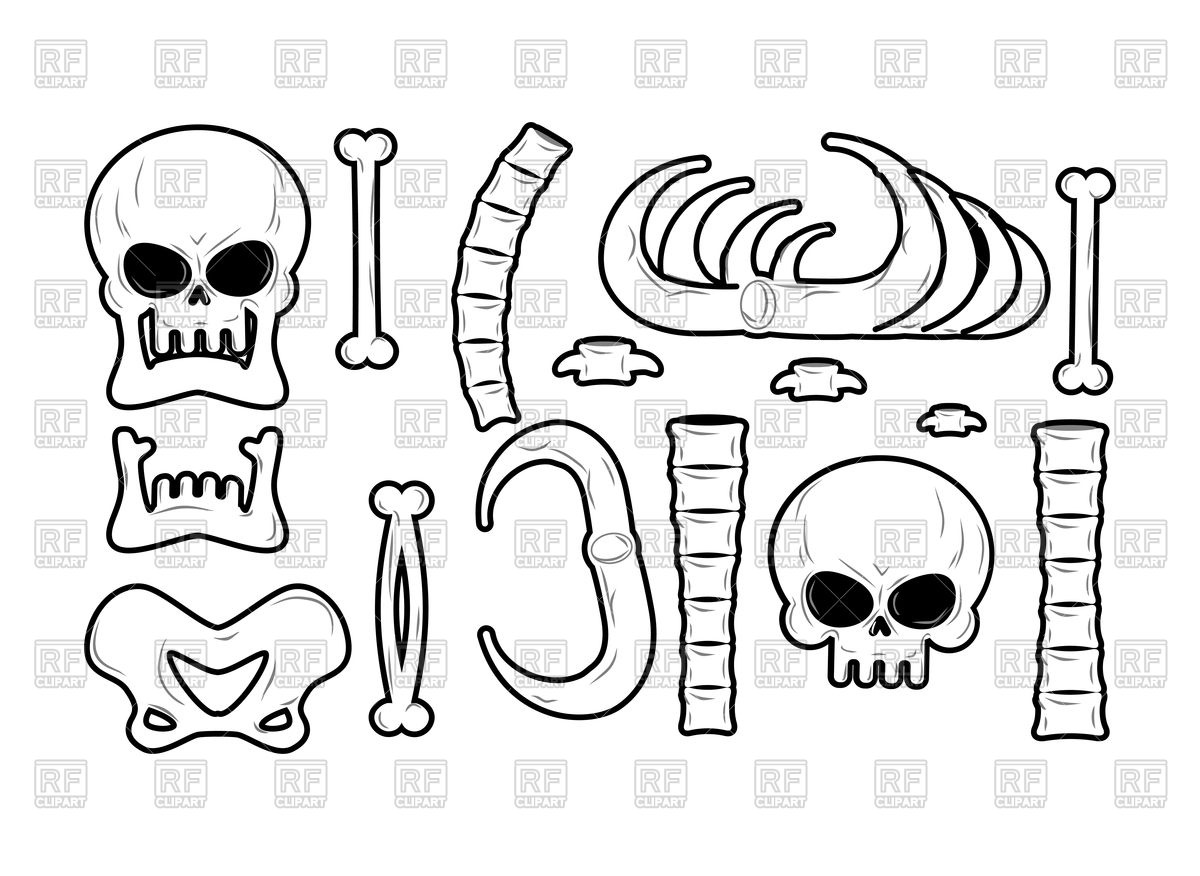 1200x876 Bones Set. Anatomy Icons. Skull And Spine. Royalty Free Vector