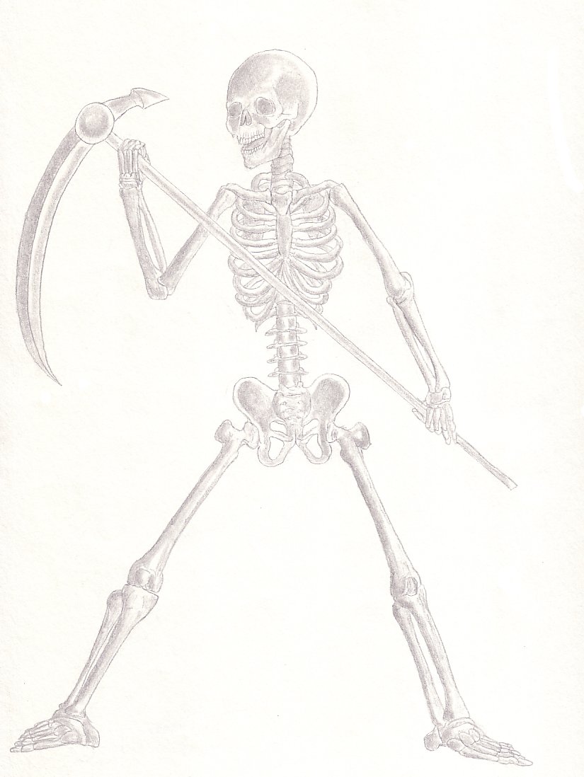 825x1098 Skeleton Warrior By Master Zoda