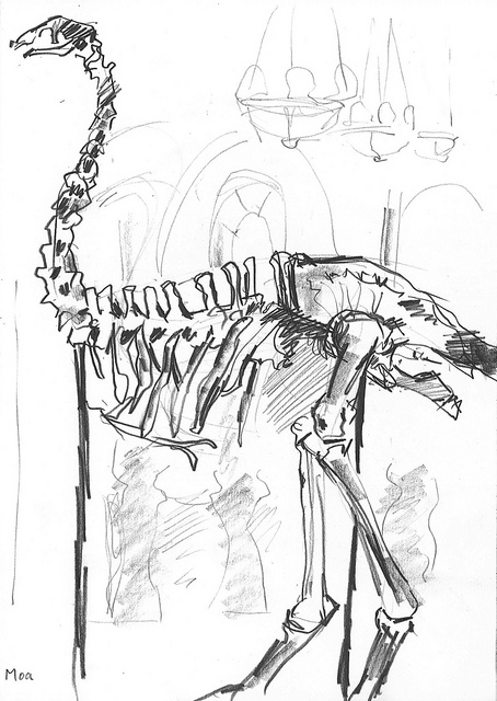 454x640 Sketching Skeletons