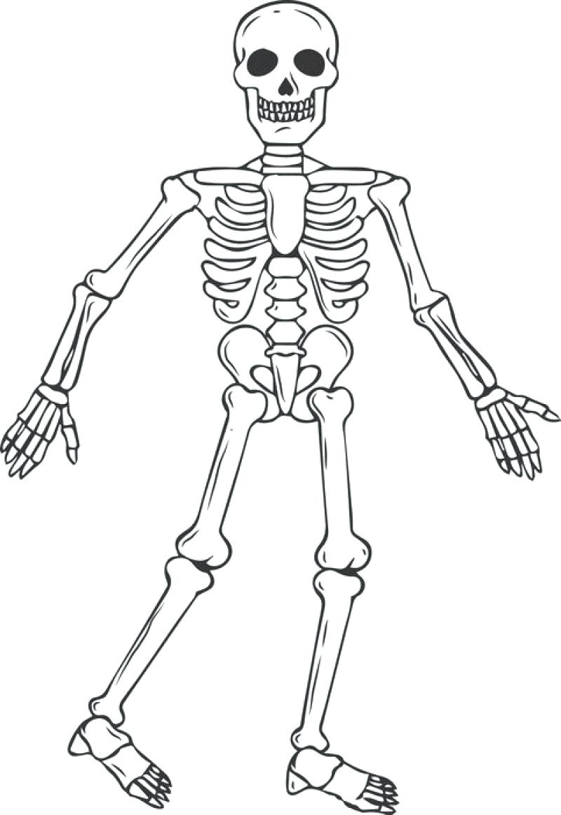 800x1162 Coloring Coloring Pages Of Skeletons