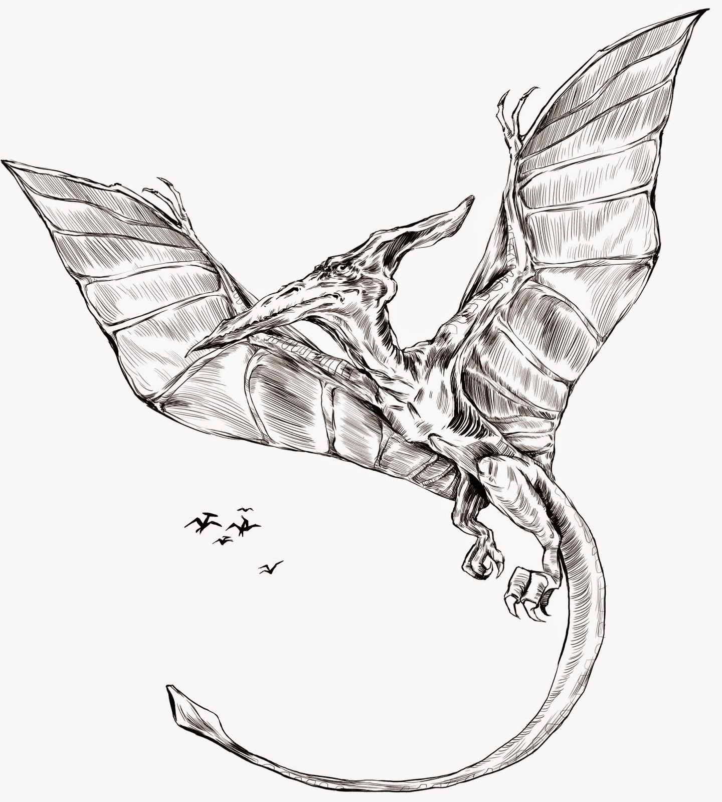 1440x1600 Shadiah Sketches Pterodactyl Tee For Hearthsong Drawings