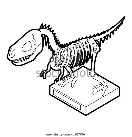 520x540 Animal Skeleton Black And White Stock Photos Amp Images