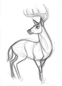 236x326 Kitten Sketch 3 By On @ Art I'Ll