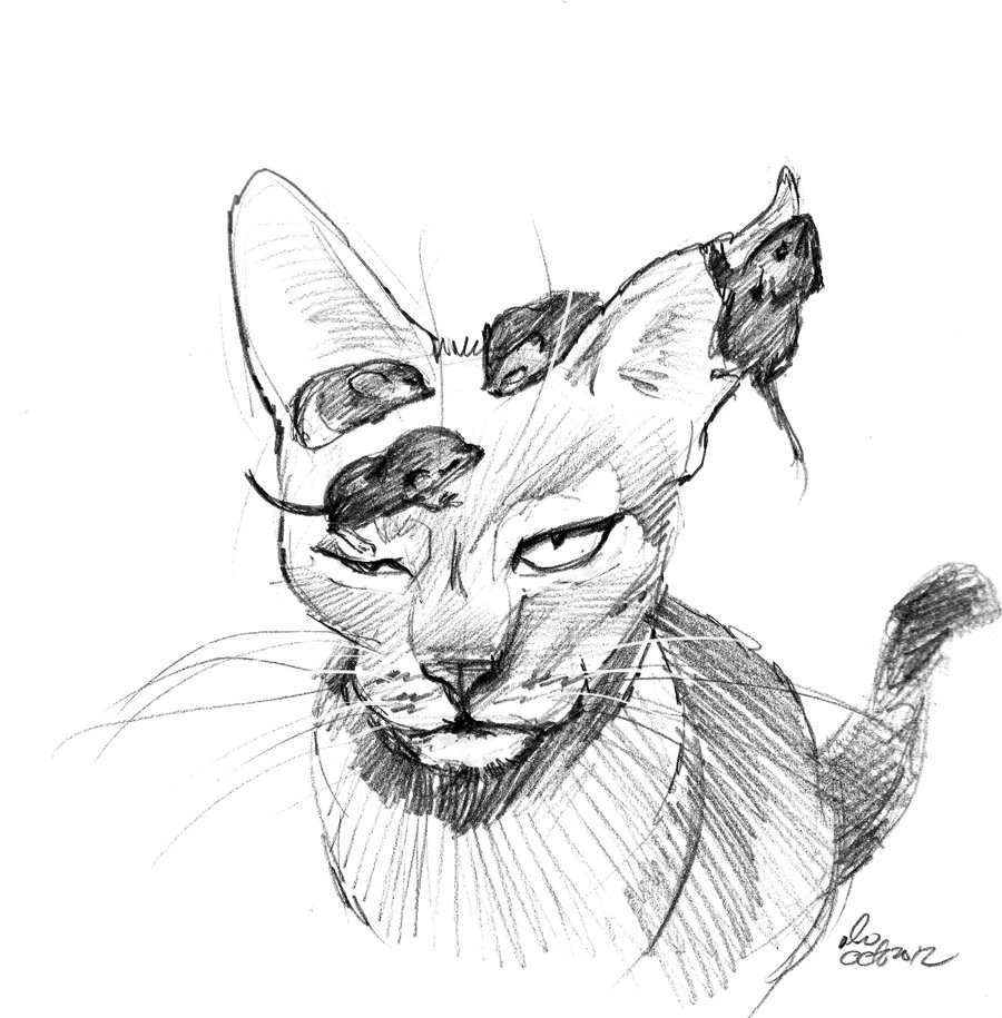 900x915 Mandatory Daily Cat Sketch 1282 By Nosoart