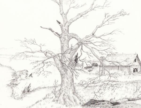 600x461 17 Best Images About Hampg Concept 3 On Mermaids