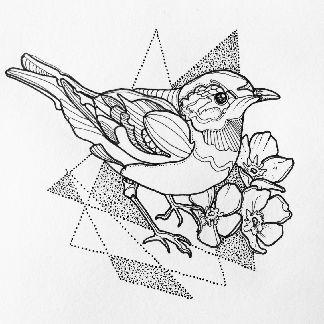 1136x1136 Bird Drawing