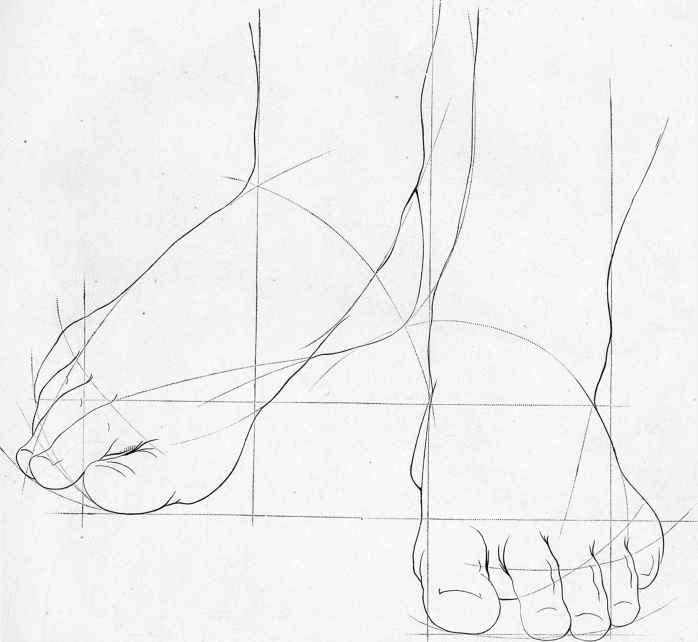 698x642 Sketches Of Human Anatomy