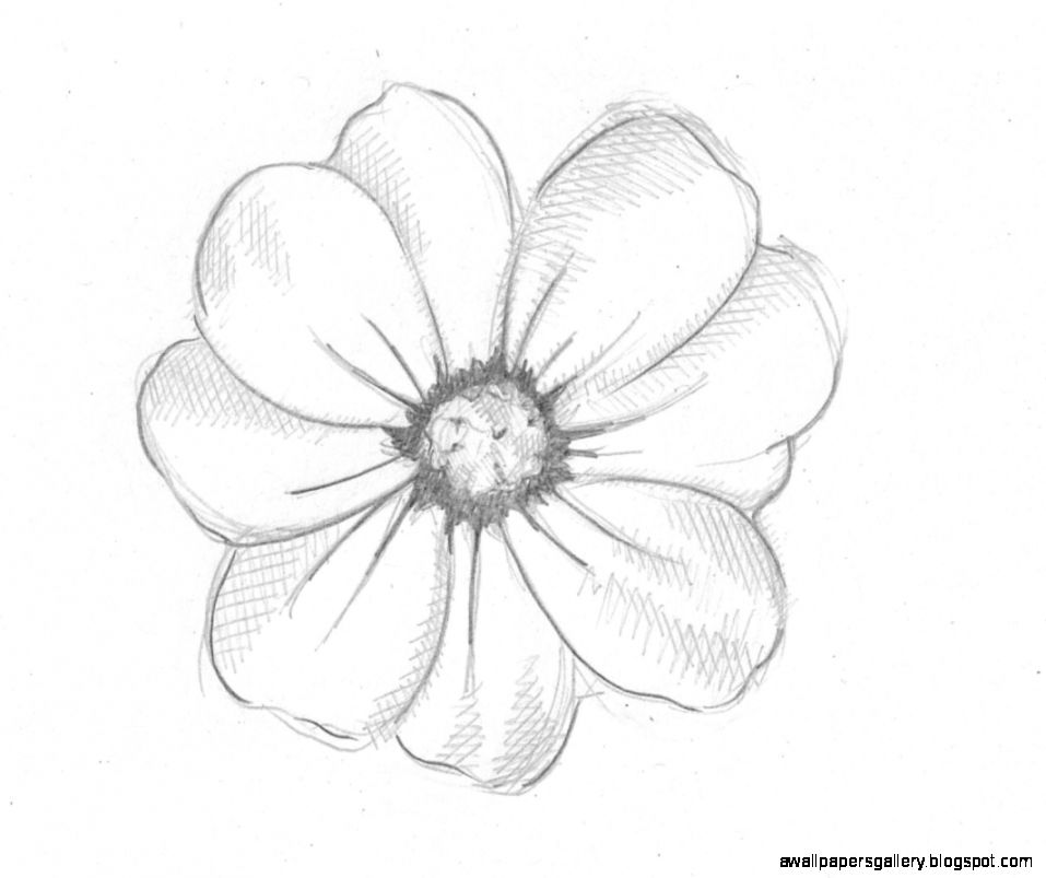 957x803 Coloring Pages Easy Flowers To Sketch Coloring Pages Easy