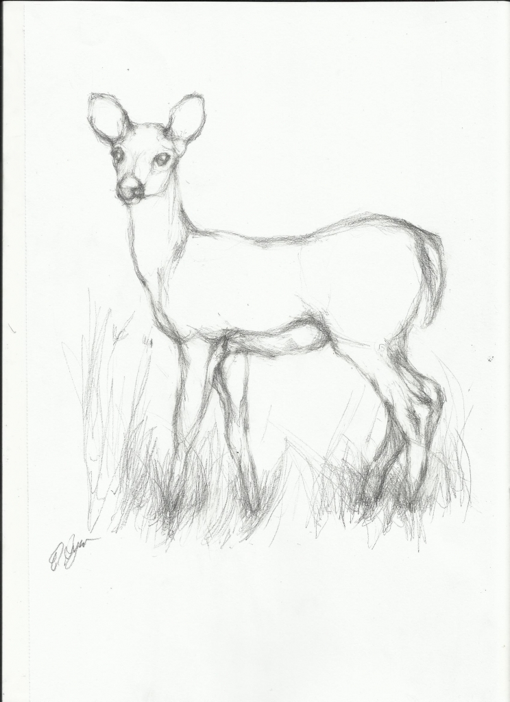 744x1024 Animals Pencil Drawings Pencil Sketch Nightwithdeer