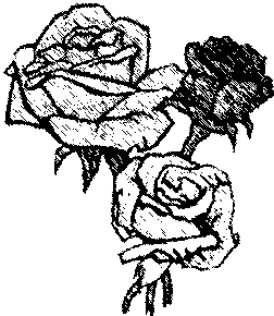 252x290 Drawings Of Roses Made Easy With Your First Sketch
