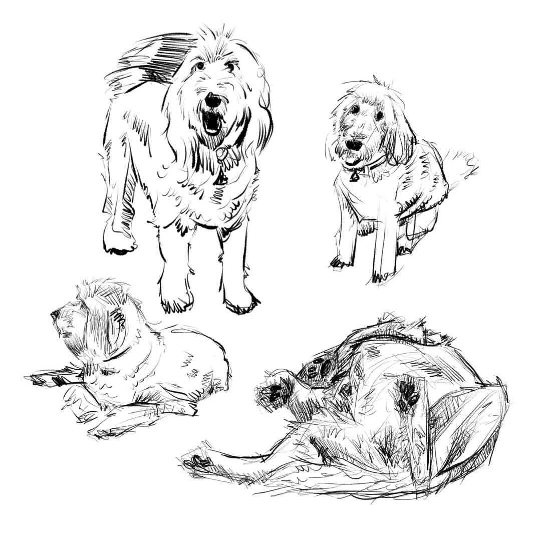 1080x1080 Austin Haynes