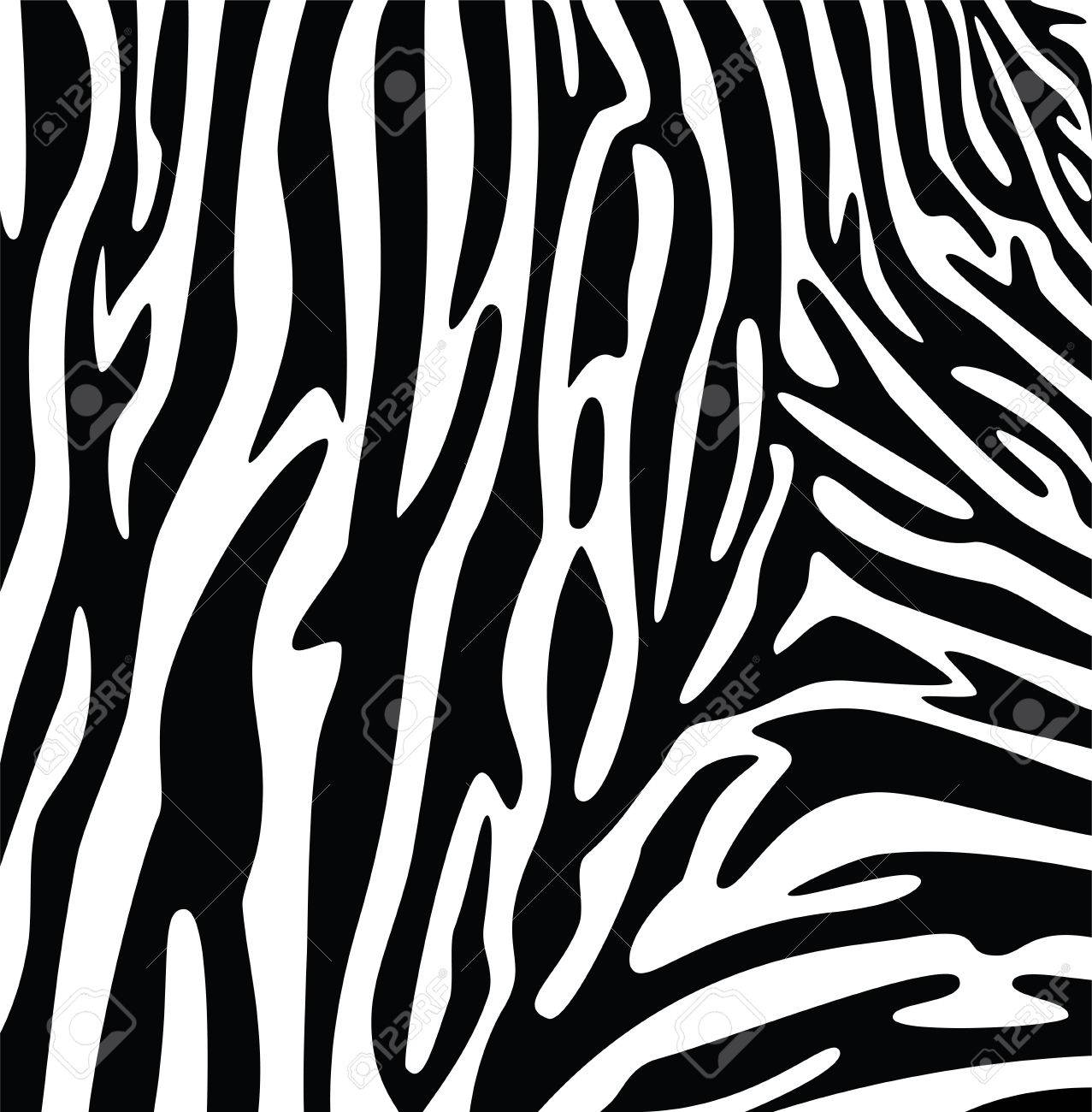 1277x1300 Vector Abstract Skin Texture Of Zebra Print Pattern Royalty Free