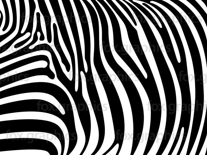 720x540 Zebra Skin Vector Pattern