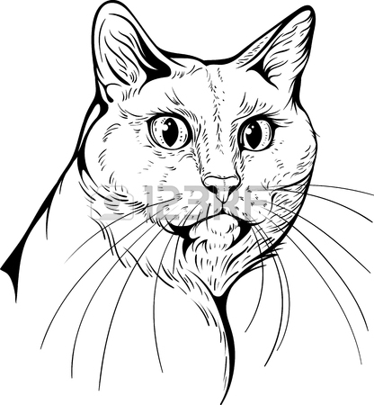 416x450 5,085 Vintage Style Cat Stock Vector Illustration And Royalty Free