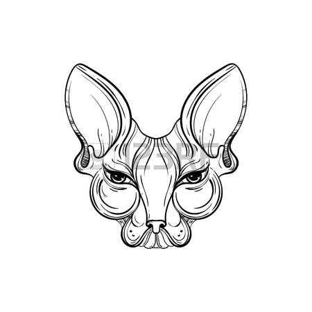 450x450 Sphinx Cat Vector Illustration Tattoo Style. Skinny Cat. Portrait