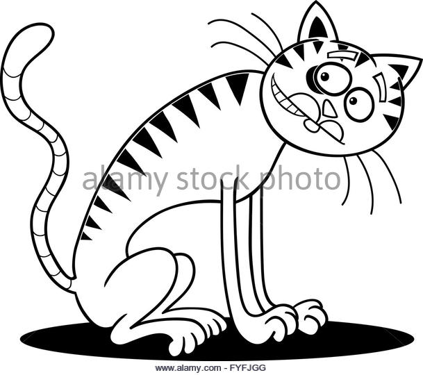 609x540 Thin Cat Stock Photos Amp Thin Cat Stock Images