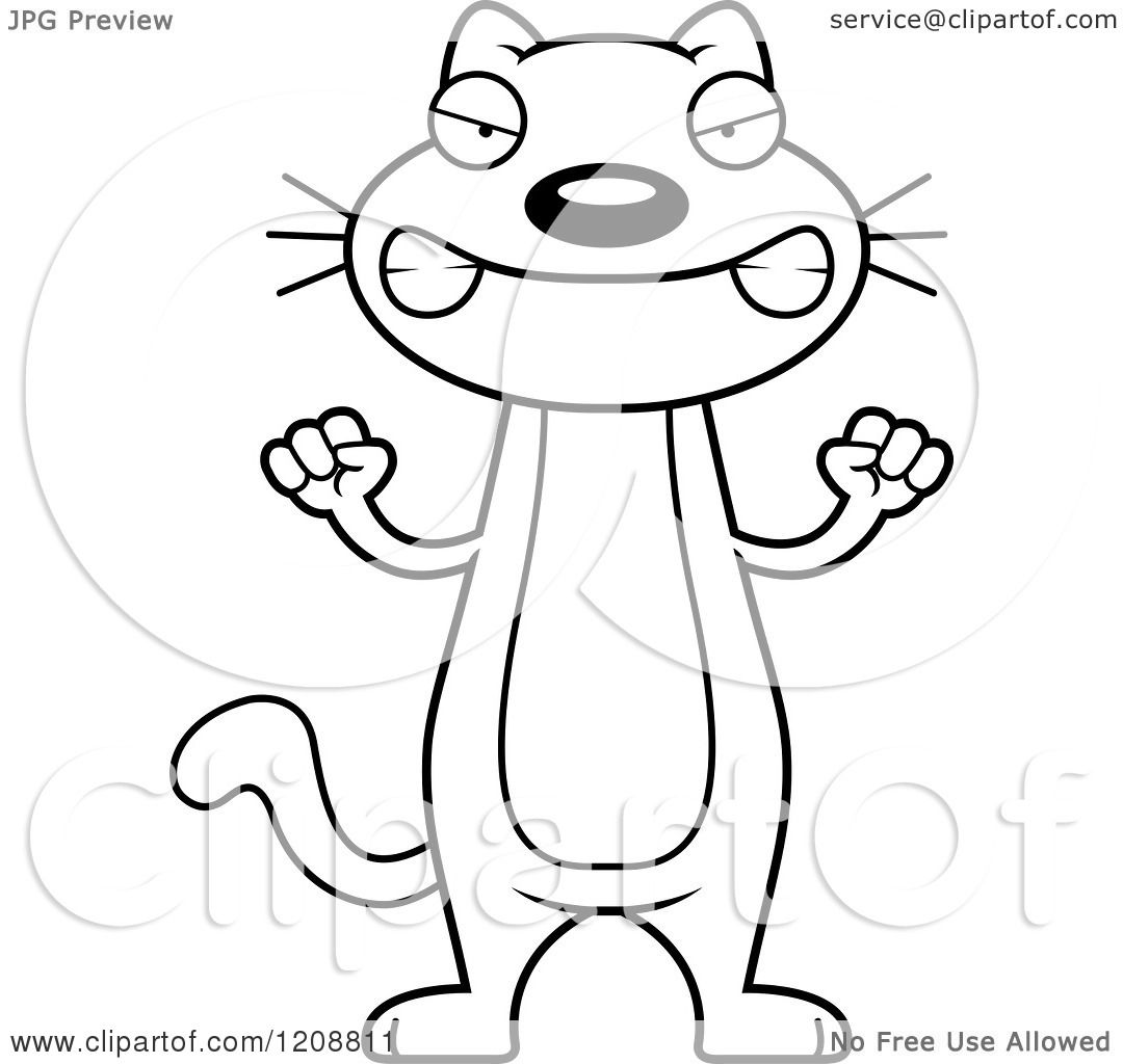 1080x1024 Cartoon Of A Black And White Mad Skinny Cat