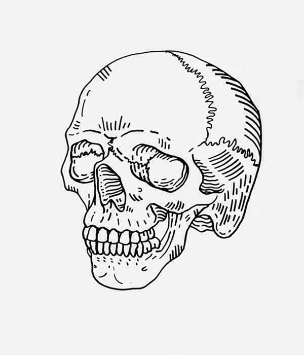 600x700 Skull Drawing Minimal
