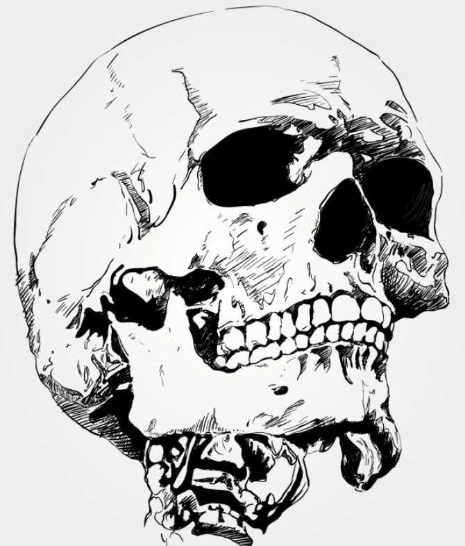 670x787 Pin By Guero On Skulls Amp Skeletons Skeletons