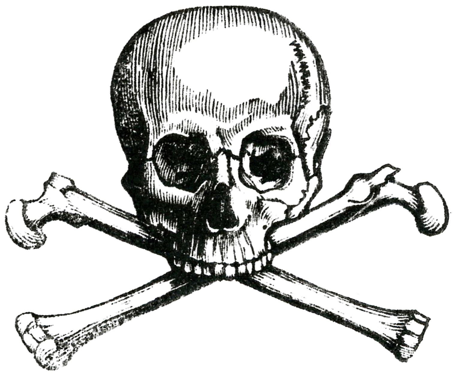 1511x1253 Skull And Crossbones Drawing Early Halloween Image