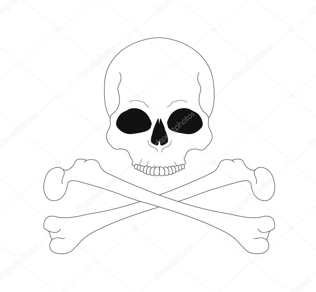 1024x947 Contour Lines Skull With Crossbones Stock Vector Bsd