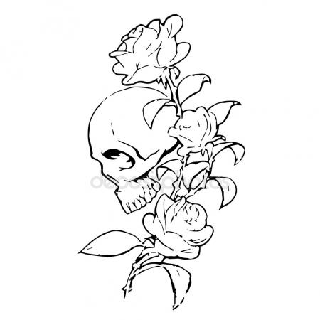 450x450 Ilustration Vector Of Skull With Roses. Stock Vector Kamui7mx