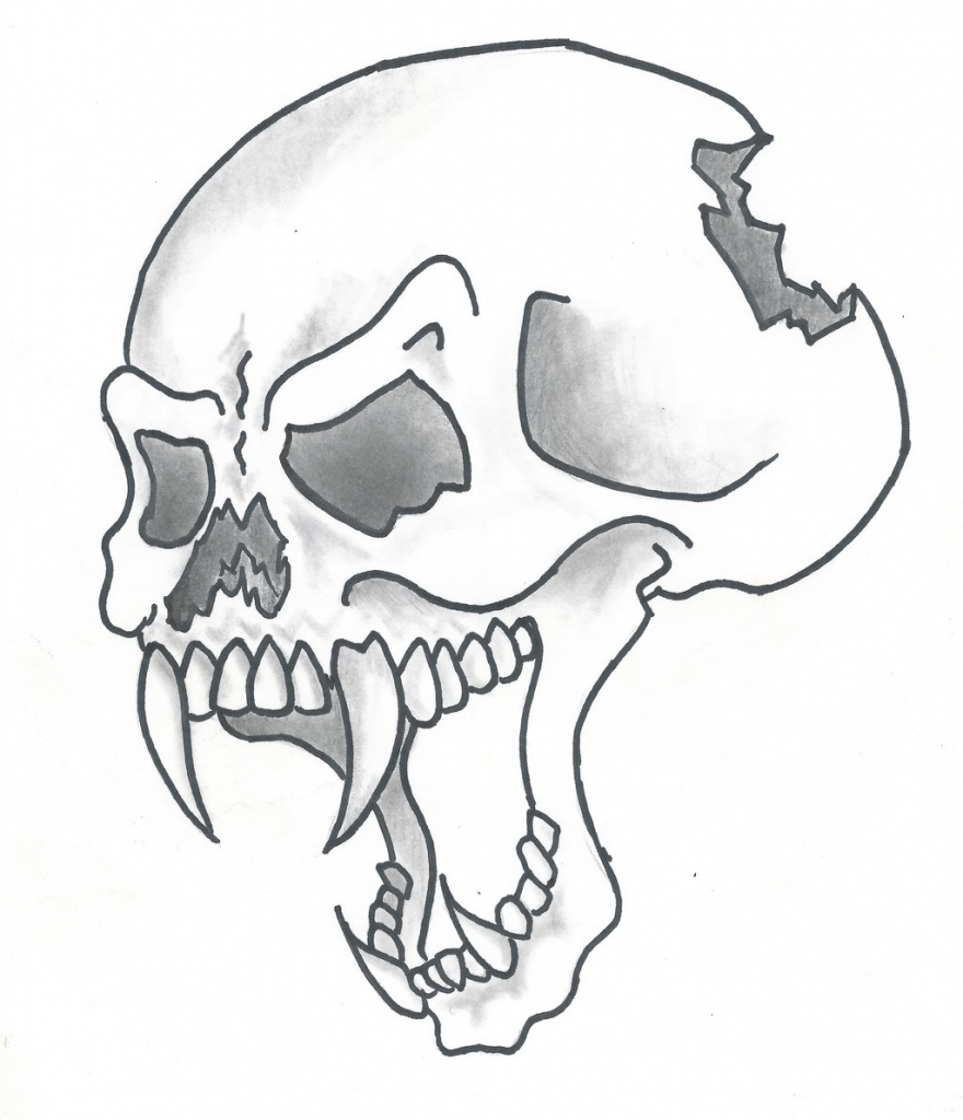 880x1024 Easy Drawings Of Skulls