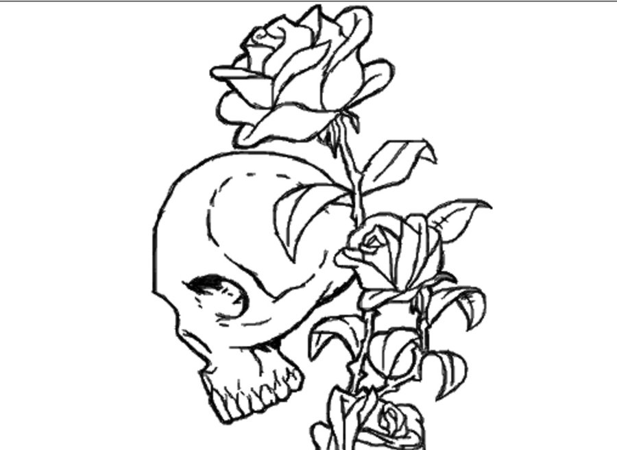 900x657 Skull'Roses By Naldojunio