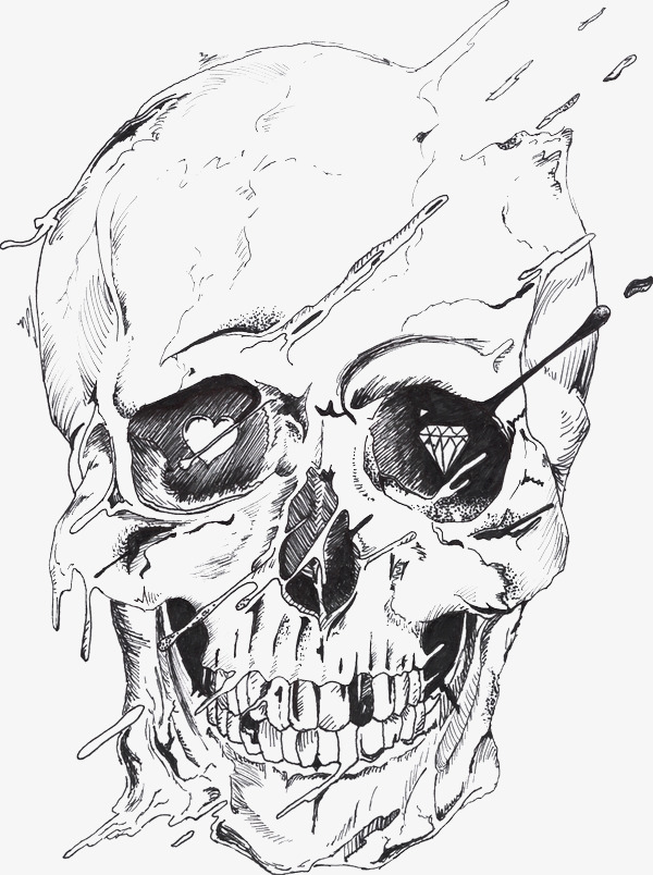 600x804 Sketch Skull, Skull, Halloween, Sketches Png Image For Free Download