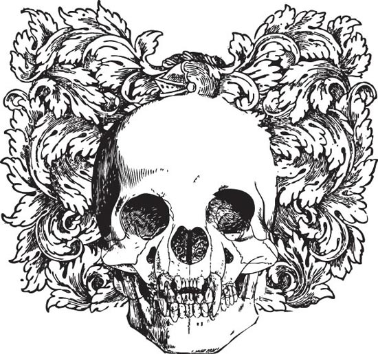 550x515 And White Skull Vector