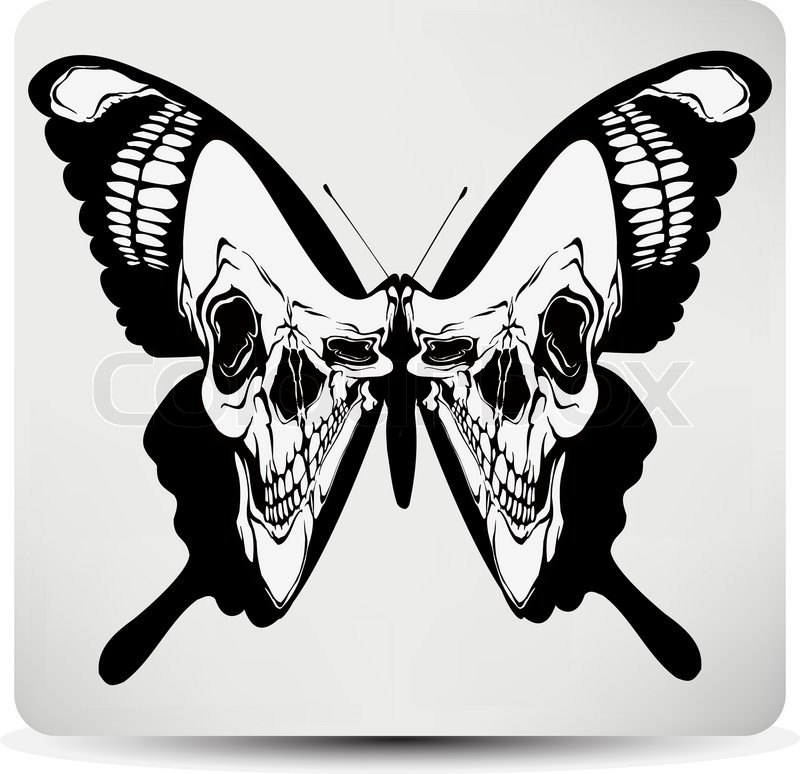 800x774 Butterfly Skull. Vector Illustration. Stock Vector Colourbox