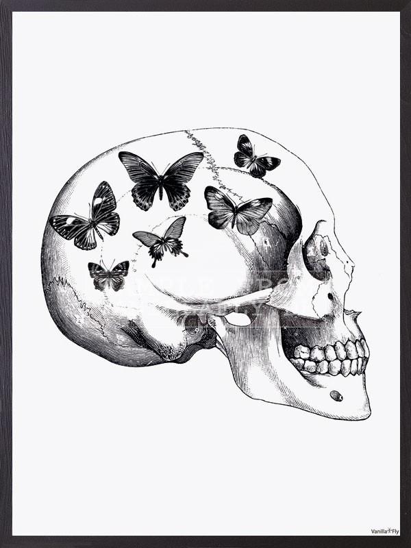 600x800 Frame Skull With Butterfly Les Soeurs