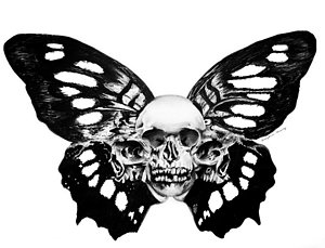 300x229 Human Skull Drawings