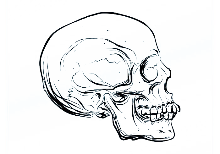 700x490 Drawing Skull Cartoon Euclidean Vector